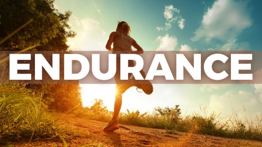 WHAT STEROIDS INCREASE ENDURANCE DURING YOUR INTENSE WORKOUT?