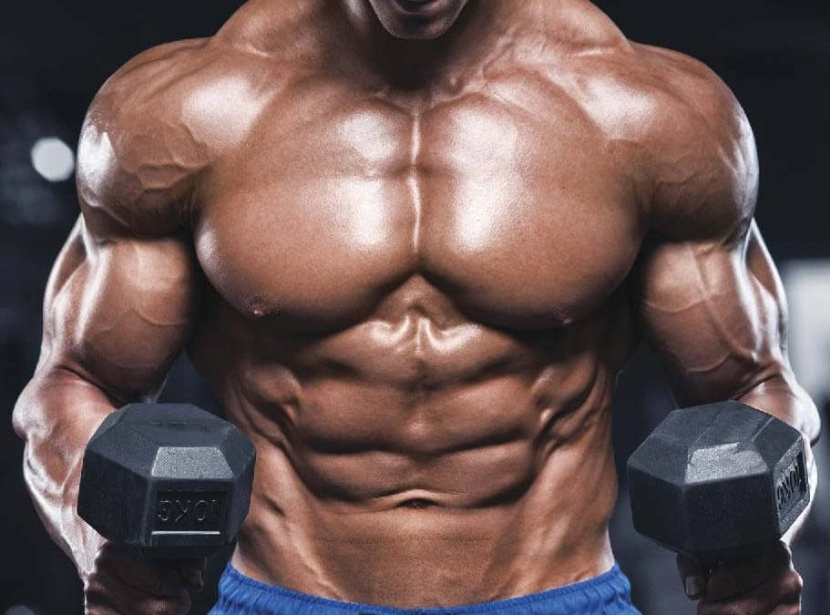Best bulking steroid stack cycle: Must or Maybe?