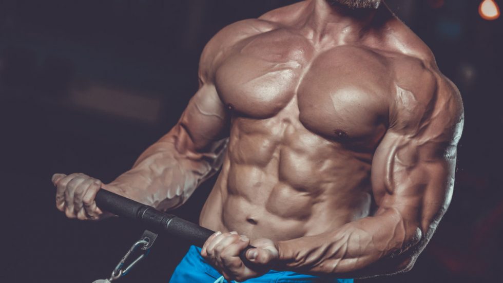 How Much Does A Steroid Cycle Cost? Here’s What You Need To Know