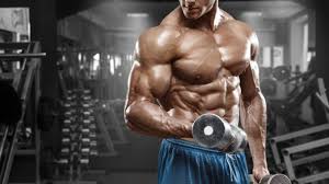 maximum bulking muscles