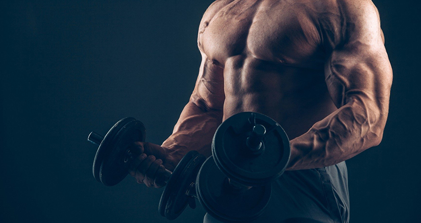 Add Testolic to your steroid cycle!