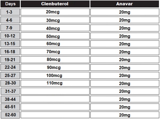 Anavar cycle for female