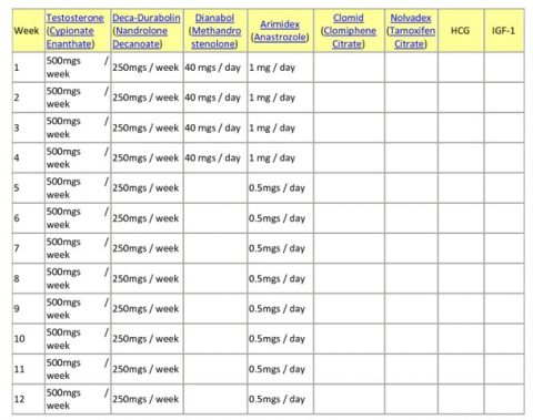 standard-steroid-cycle-chart-480x379.jpg