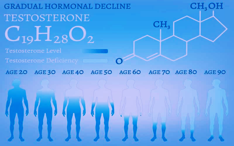 testosterone production level