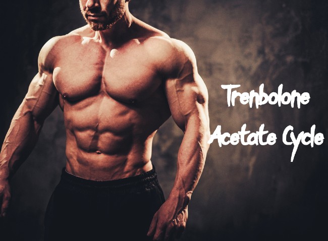 Trenbolone-Acetate-Cycle