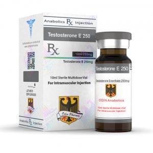 odin pharma testosterone enanthate